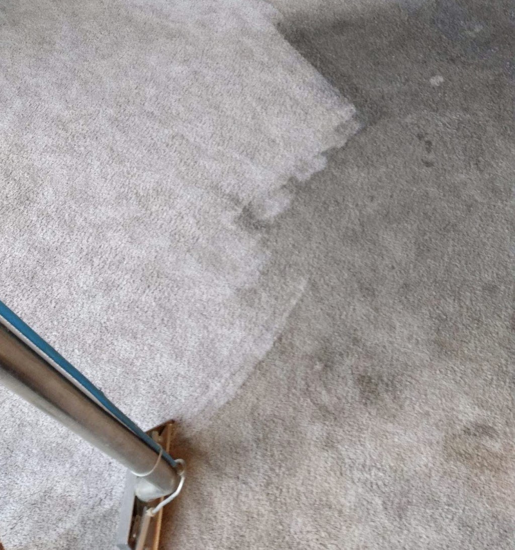 Gemini Carpet Cleaning | 2344 S 13th St #2, Lincoln, NE 68502, USA | Phone: (402) 477-6868