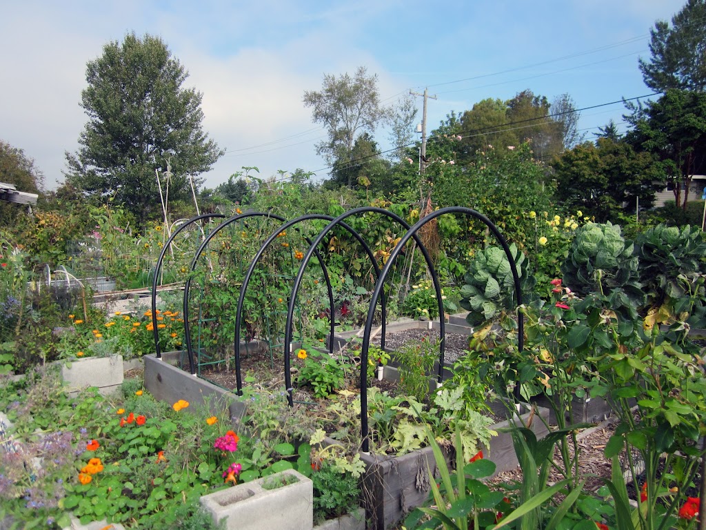 Bradner Gardens Park | 1730 Bradner Pl S, Seattle, WA 98144, USA | Phone: (206) 684-4075