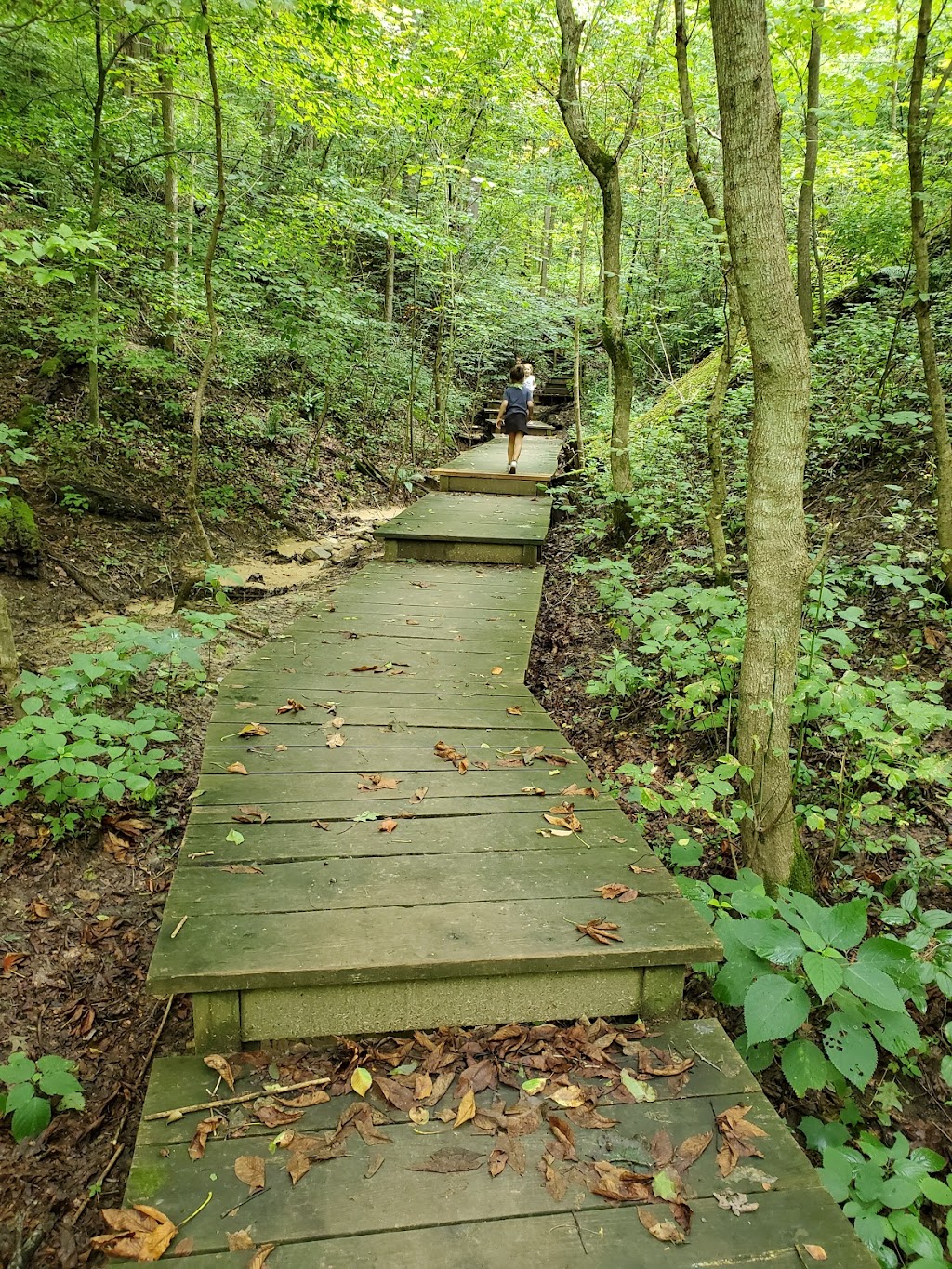 California Woods Nature Preserve | 5400 Kellogg Ave, Cincinnati, OH 45230, USA | Phone: (513) 231-8678