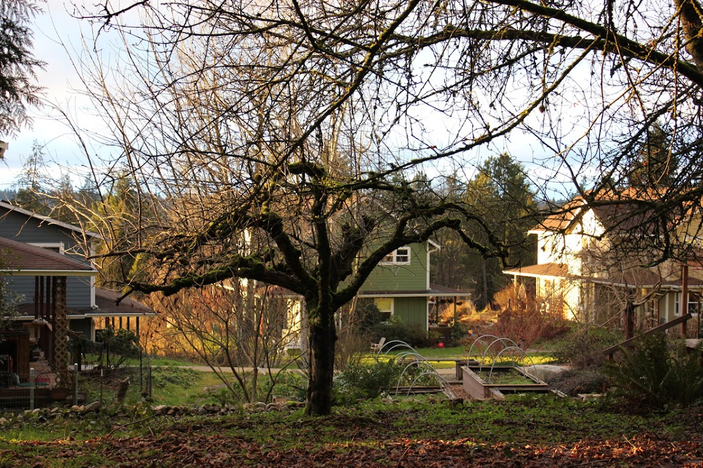 Songaia Cohousing Community | 4018 224th St SE, Bothell, WA 98021 | Phone: (425) 486-2035