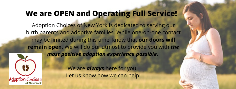 Adoption Choices of New York | 1 Marcus Blvd Suite 200, Albany, NY 12205, USA | Phone: (800) 681-4673