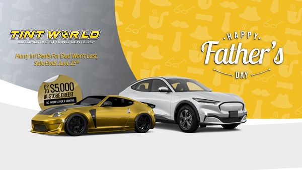 Tint World | 30950 US Hwy 19 N UNIT B, Palm Harbor, FL 34684, USA | Phone: (727) 264-2043