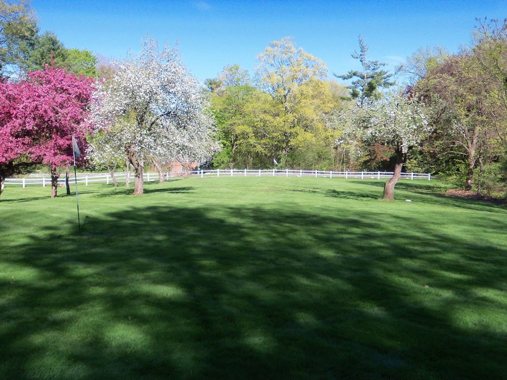 Cedar Tree Properties | 4217 Albany St, Albany, NY 12205, USA | Phone: (518) 649-9040