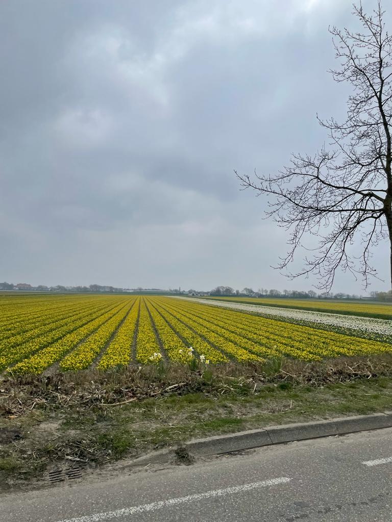 Bike Rent Amsterdam | Valkenburgerstraat 210, 1011 ND Amsterdam, Netherlands | Phone: 020 737 0262