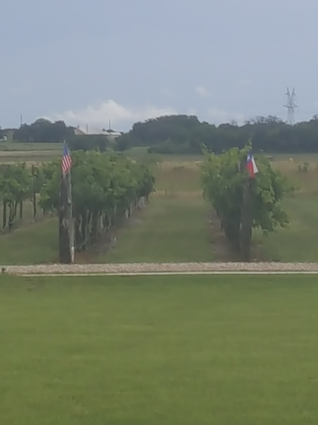 Pemberton Cellars Winery | 3500 Lipan Hwy, Granbury, TX 76048, USA | Phone: (817) 706-7416