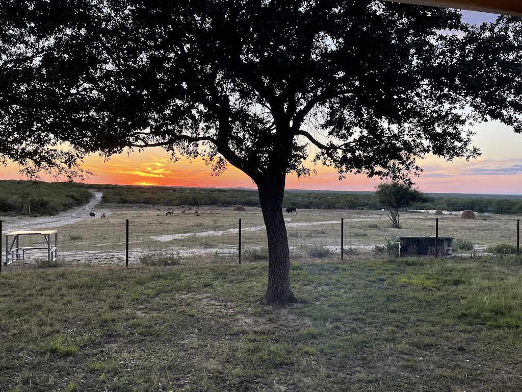 Shaw Family Ranch | Las Lomas Rd, Freer, TX 78357, USA | Phone: (210) 889-2559