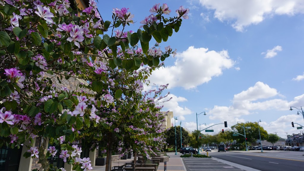 Fortune Insurance Agency | 136 1/2 S Glendora Ave Suite #3, West Covina, CA 91790 | Phone: (626) 399-7082