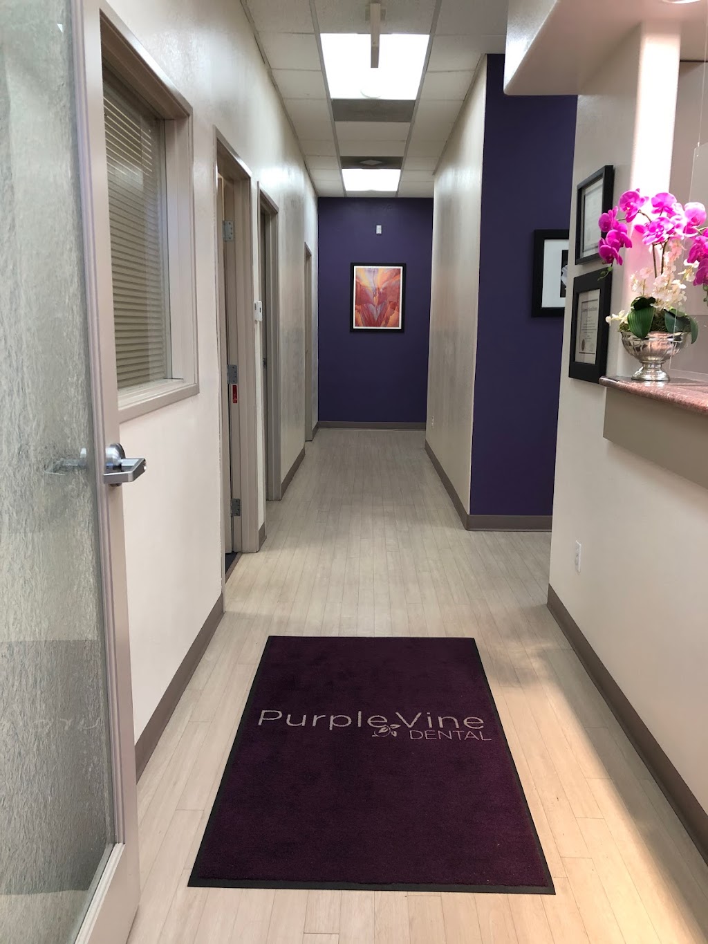 Purple Vine Dental | 4146 E Olympic Blvd Suite F, Los Angeles, CA 90023, USA | Phone: (323) 522-2684
