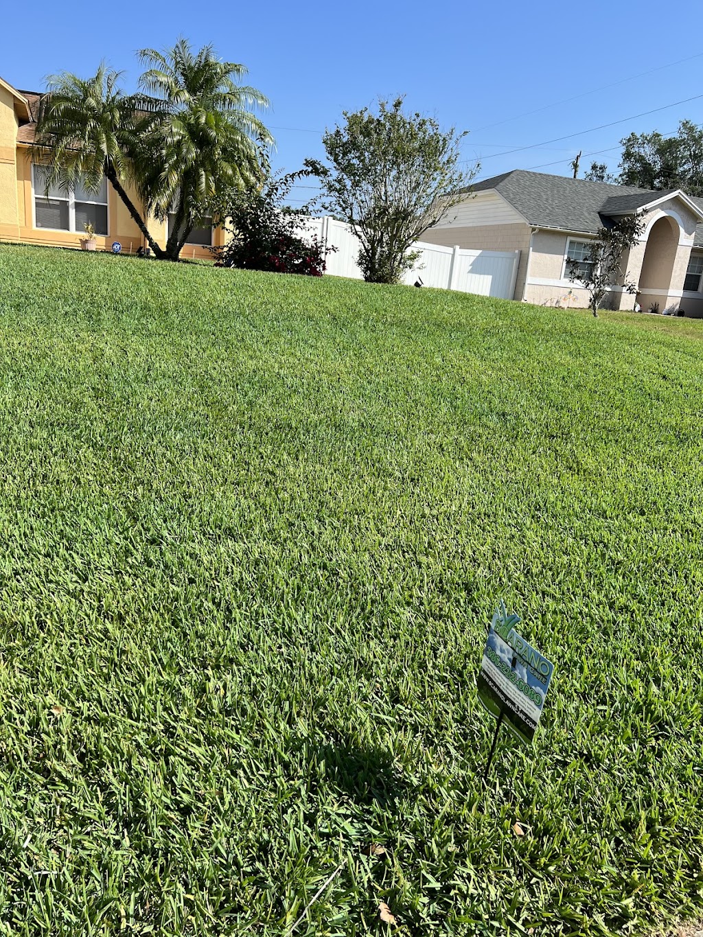 Scarano Lawn Care | 2626 Treehaven Dr, Deltona, FL 32738, USA | Phone: (386) 232-6089