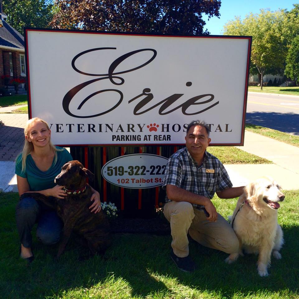 Erie Veterinary Hospital & HOUSE CALL | 102 Talbot St W, Leamington, ON N8H 1M8, Canada | Phone: (519) 322-2223