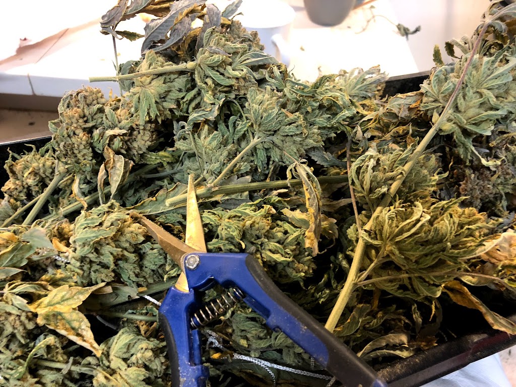 Orange Show Inn | 1280 S E St, San Bernardino, CA 92408, USA | Phone: (909) 888-0271