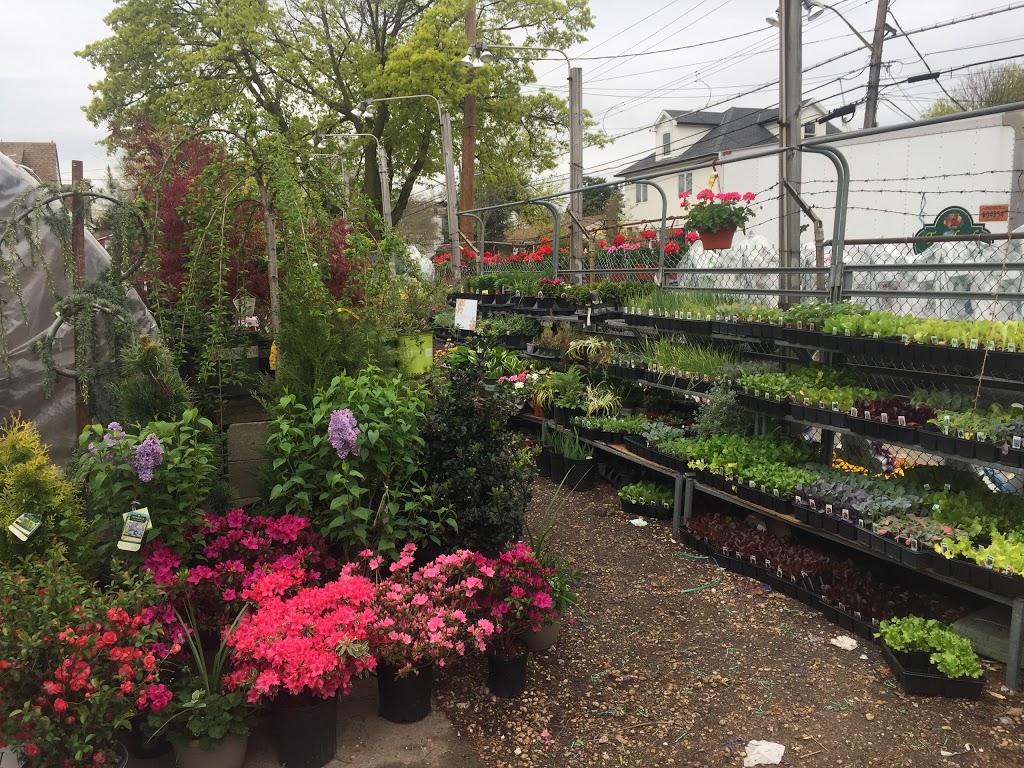 Touch of Green Nursery & Garden | 2701 Hylan Blvd, Staten Island, NY 10306, USA | Phone: (718) 987-9239