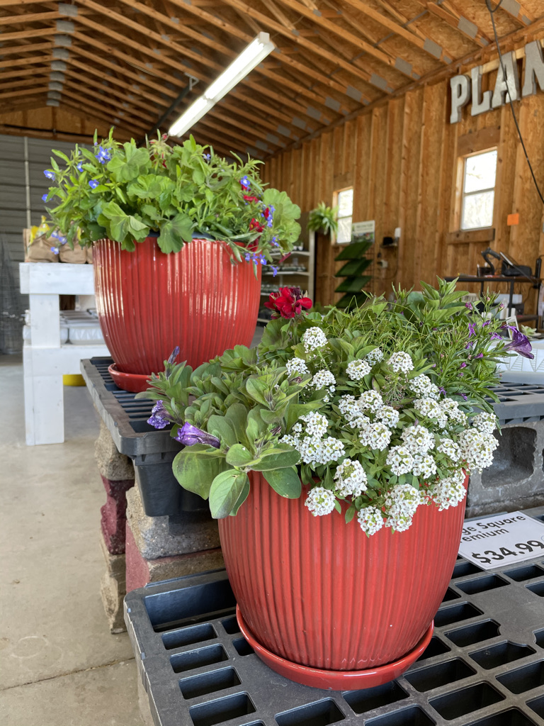 Prairie Hills Nursery and Plant Shop | 2999 E 30th Ave, Hutchinson, KS 67502, USA | Phone: (620) 500-5073