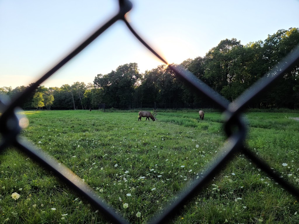 Busse Forest Elk Pasture | 225 N Arlington Heights Rd, Elk Grove Village, IL 60007 | Phone: (800) 870-3666