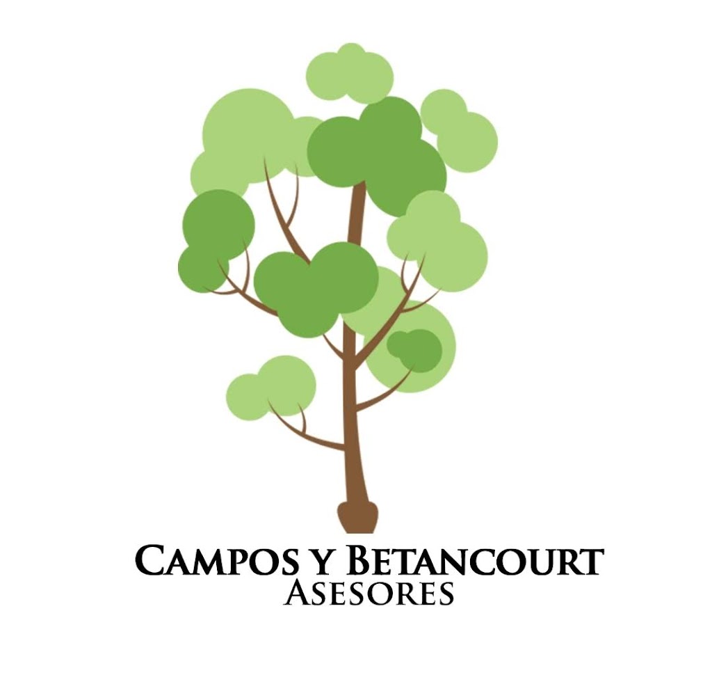 Campos Y Betancourt Asesores | Av. de los Grandes Lagos 19521, El Lago, 22210 Tijuana, B.C., Mexico | Phone: 664 317 4754