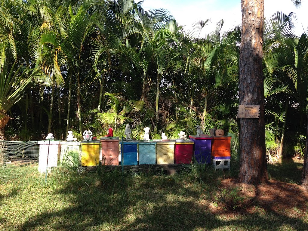 Florida Bee Investigator | 6207 32nd Ave E, Bradenton, FL 34208, USA | Phone: (941) 201-9378