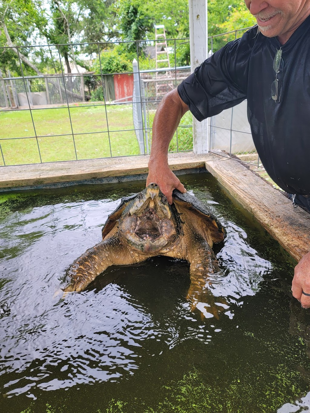 Zams Swamp Tour | 141 Kraemer Bayou Rd, Thibodaux, LA 70301, USA | Phone: (985) 633-7881