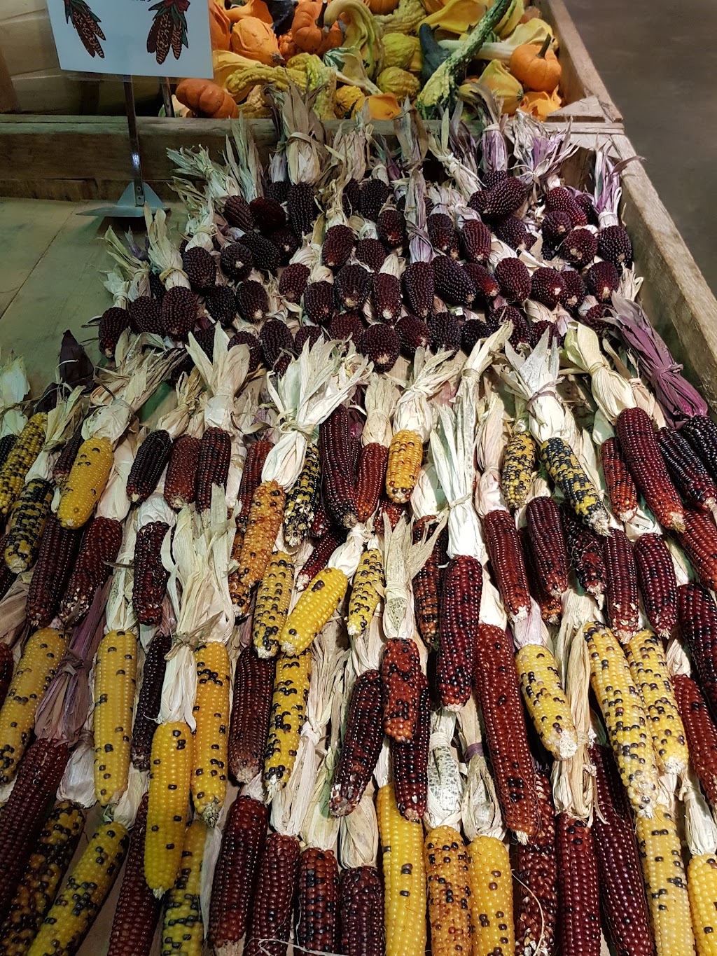 Shenot Farm & Market | 3754 Wexford Run Rd, Wexford, PA 15090, USA | Phone: (724) 935-2542