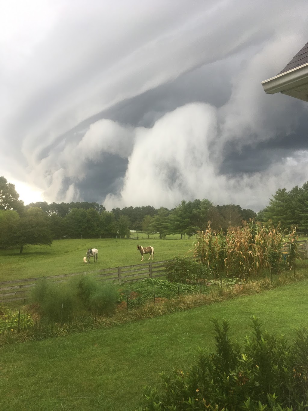 Cool Creek Farm | 738 Castle Rock Farm Rd, Pittsboro, NC 27312, USA | Phone: (919) 542-3862