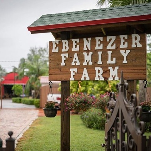 Ebenezer Family Farm | 6200 SW 122nd Ave, Miami, FL 33183, USA | Phone: (786) 262-9933