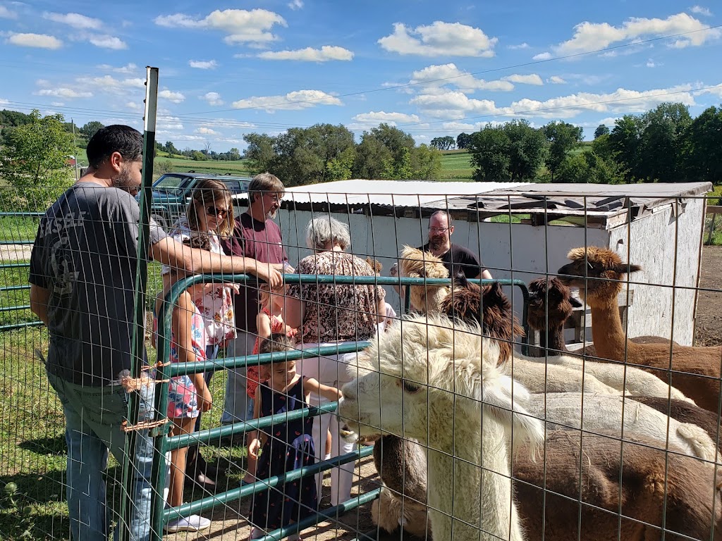 Inukshuk Alpaca Menagerie & Country Shoppe | N534 County Road W, Town of Ashford, Campbellsport, WI 53010, USA | Phone: (262) 880-7492