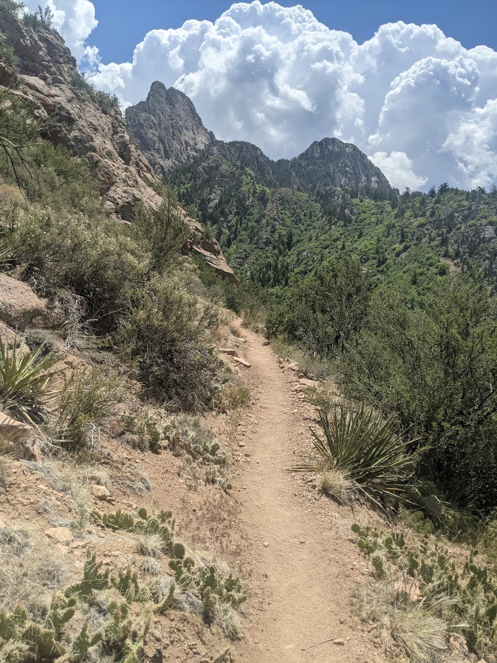 La Luz Trailhead | Forest Service 333 Rd, Albuquerque, NM 87122 | Phone: (505) 281-3304