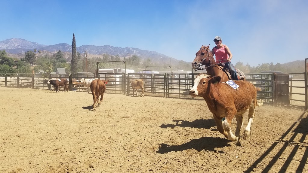 Yucaipa Equestrian Center | 13273 California St, Yucaipa, CA 92399, USA | Phone: (909) 295-8242