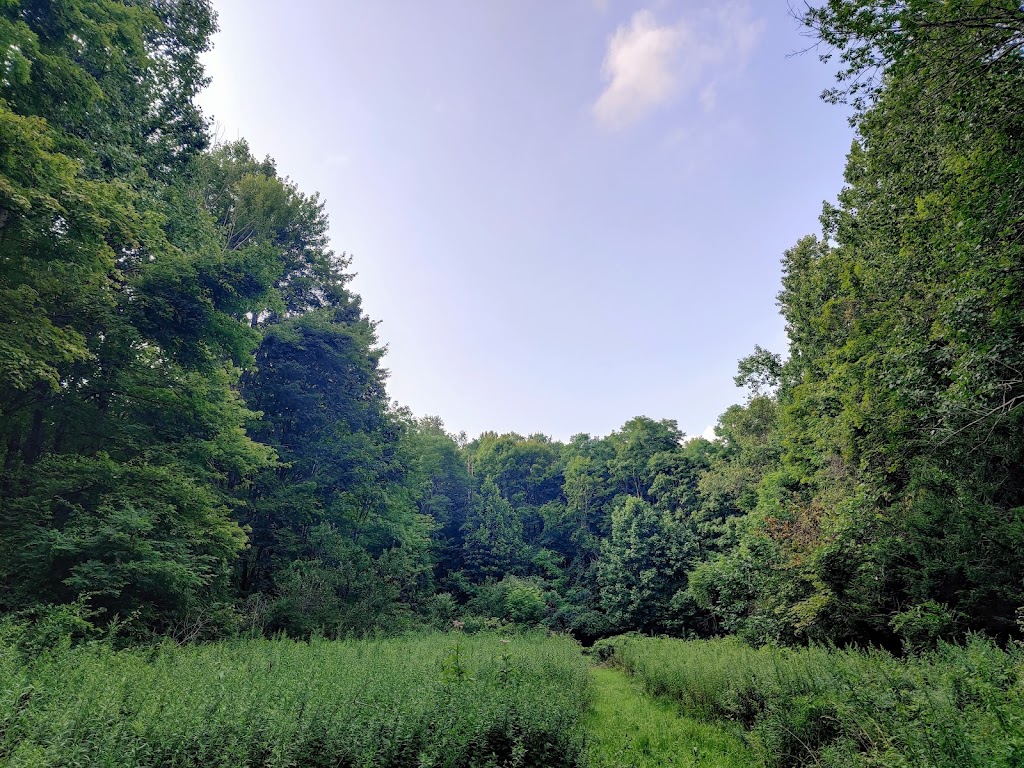 Sunnybrook Preserve | 12474 Heath Rd, Chesterland, OH 44026, USA | Phone: (440) 286-9516