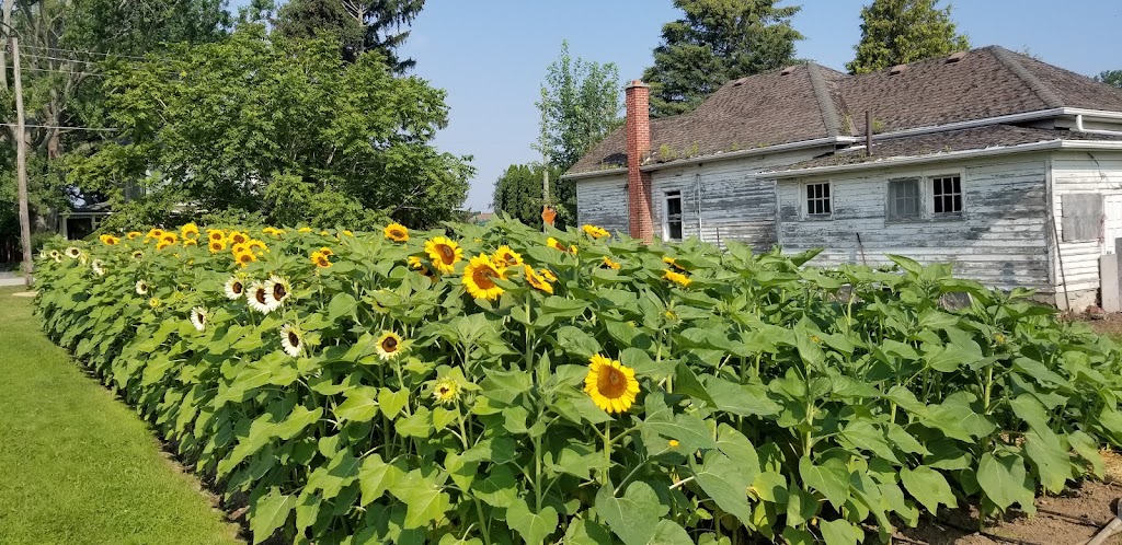 The Red Barn Farm Market and Bakery | Jordan Station, Lincoln, ON L0R 1S0, Canada | Phone: (905) 401-5249