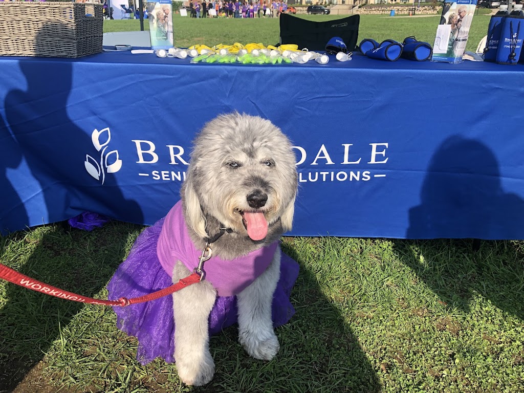 Brookdale W. Eisenhower Pkwy | 750 W Eisenhower Pkwy, Ann Arbor, MI 48103, USA | Phone: (734) 213-1708