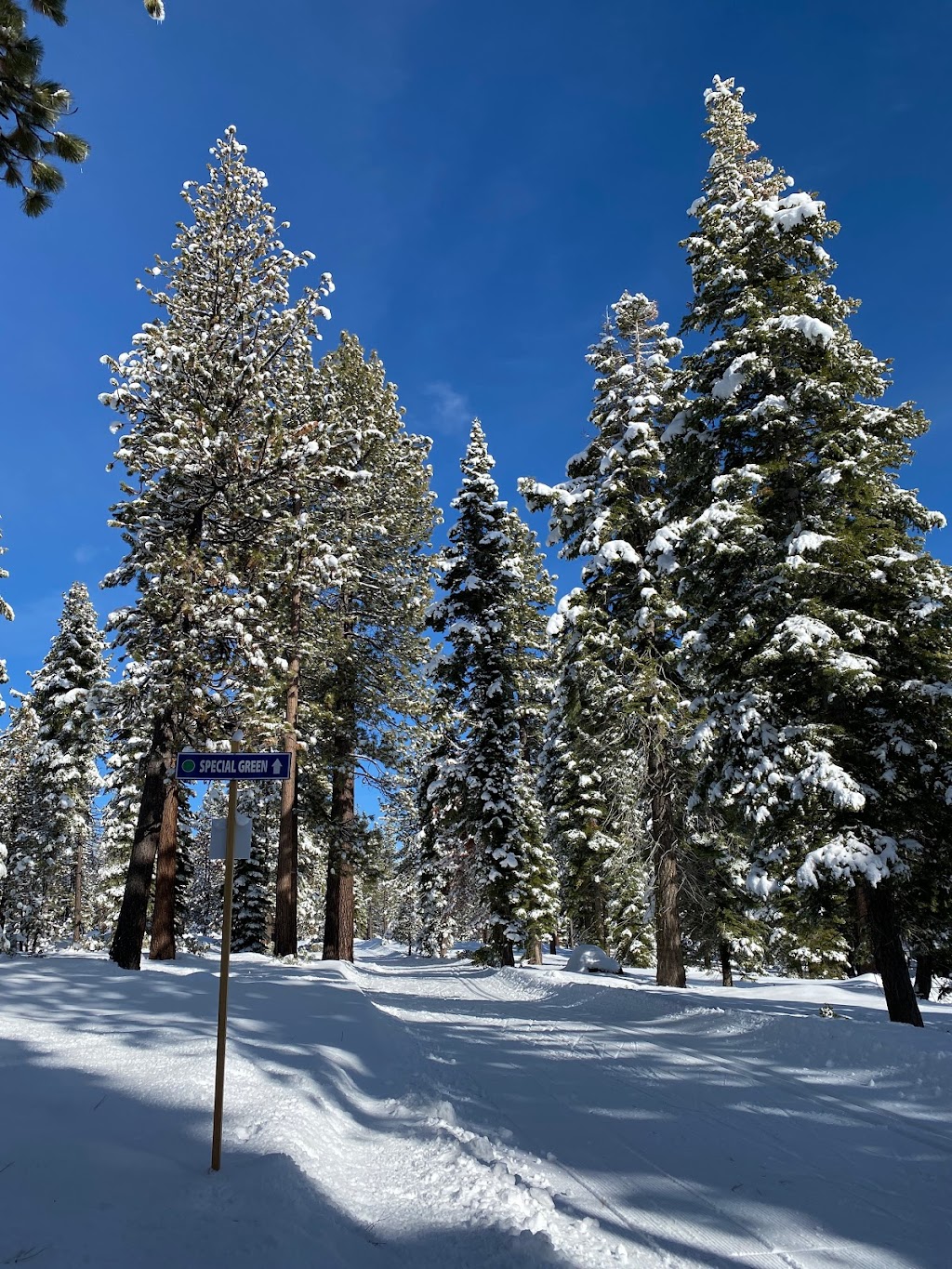 Burton Creek State Park | Tahoe City, CA 96145, USA | Phone: (530) 525-7232