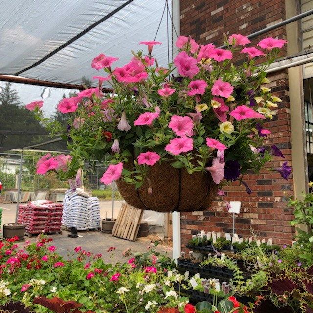 Mendham Garden Center | 11 W Main St, Mendham Borough, NJ 07945, USA | Phone: (973) 543-4178