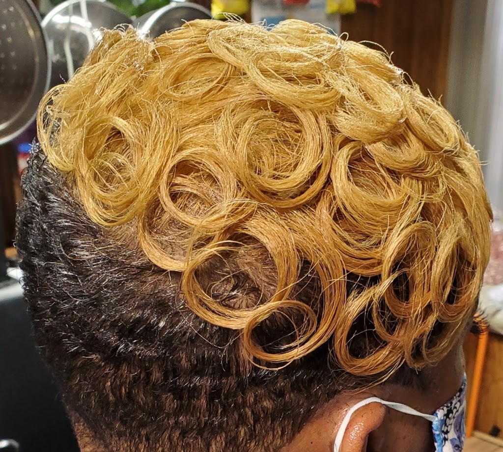 JazziePerfections hair salon | 8744 Holly Dr, Canton, MI 48187, USA | Phone: (313) 372-9950