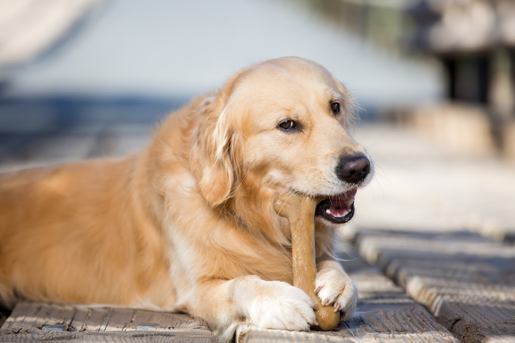 Pet Qwerks, Inc. | 9 Studebaker, Irvine, CA 92618, USA | Phone: (949) 916-3733