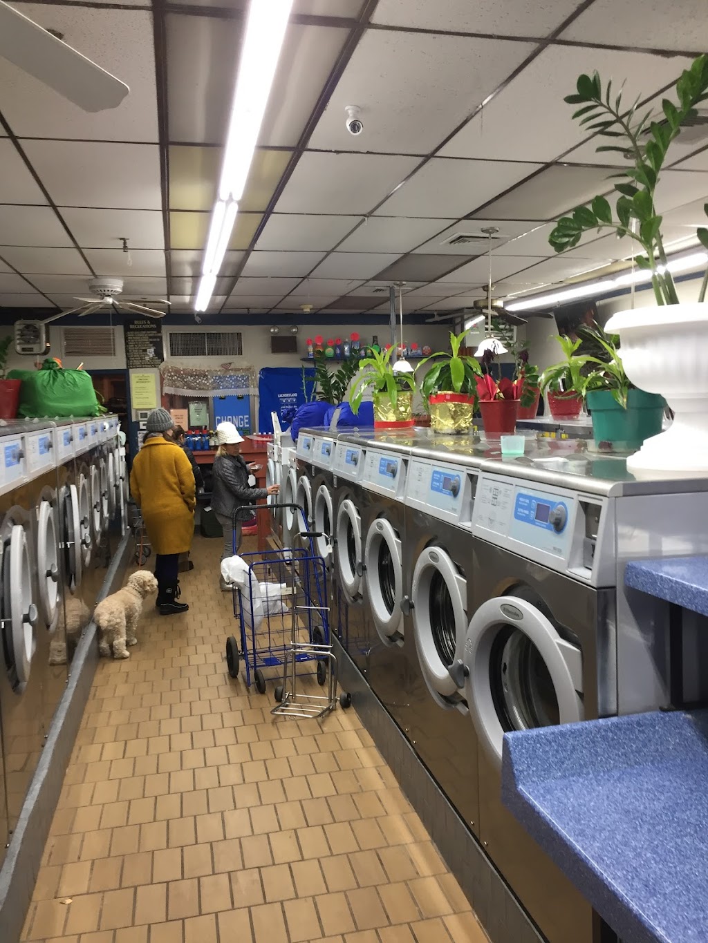 Laundry Land | 1160 Yonkers Ave, Yonkers, NY 10704, USA | Phone: (914) 237-2040