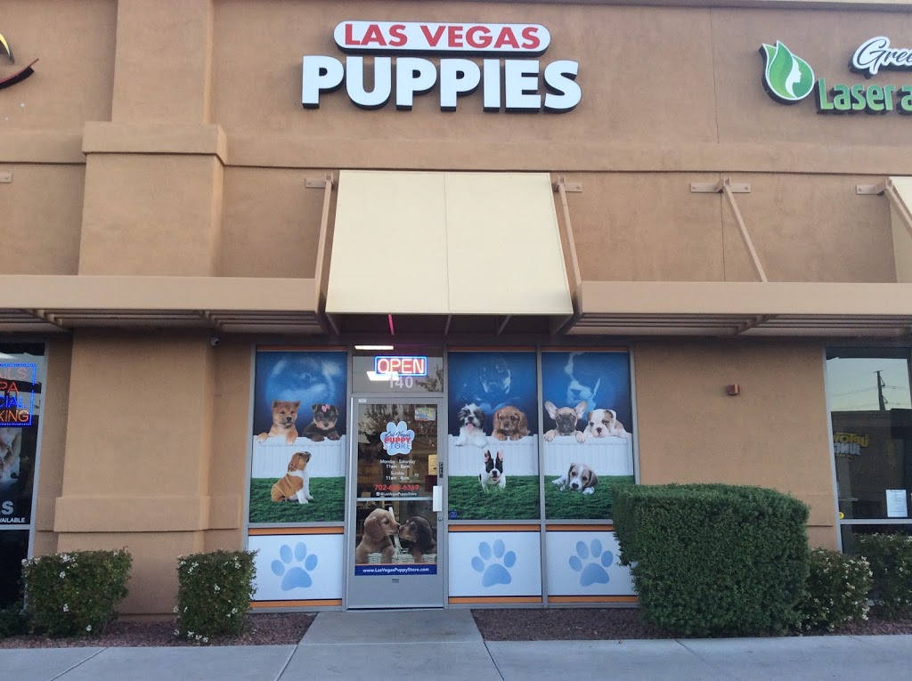 Las Vegas Puppy Store | 43 S Stephanie St Suite 140, Henderson, NV 89012, USA | Phone: (702) 665-6369
