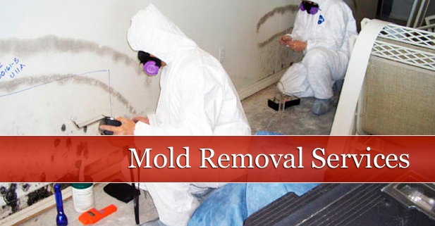 Healthy Interior Services | 459 David Ln, Mason, OH 45040, USA | Phone: (513) 398-6809