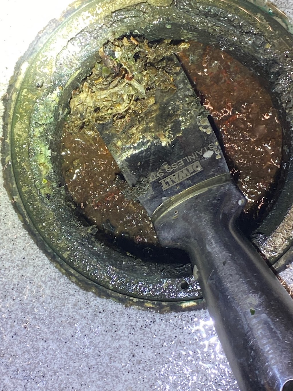 Mousebusterz, Inc, | 60 Franciscan Dr, Daly City, CA 94014, USA | Phone: (415) 735-1990