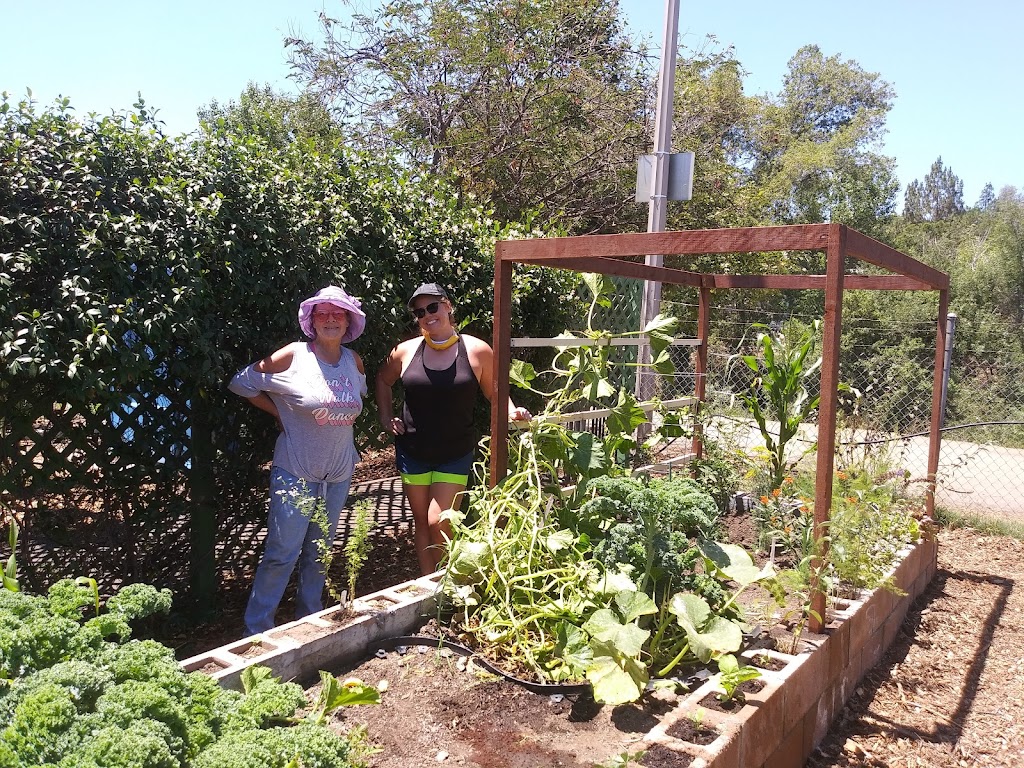 Escondido Community Garden | W Lincoln Ave &, Morning View Dr, Escondido, CA 92026 | Phone: (760) 580-4390