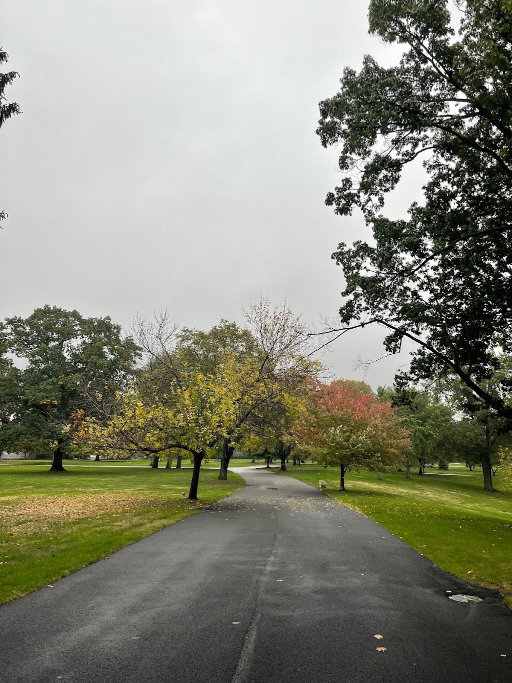 Lakewood Park Cemetery Association | 22025 Detroit Rd, Rocky River, OH 44116, USA | Phone: (440) 333-1922