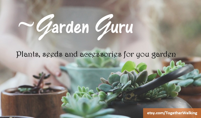 Garden Gurus | 1180N Stephora ve, Covina, CA 91724 | Phone: (562) 234-6667