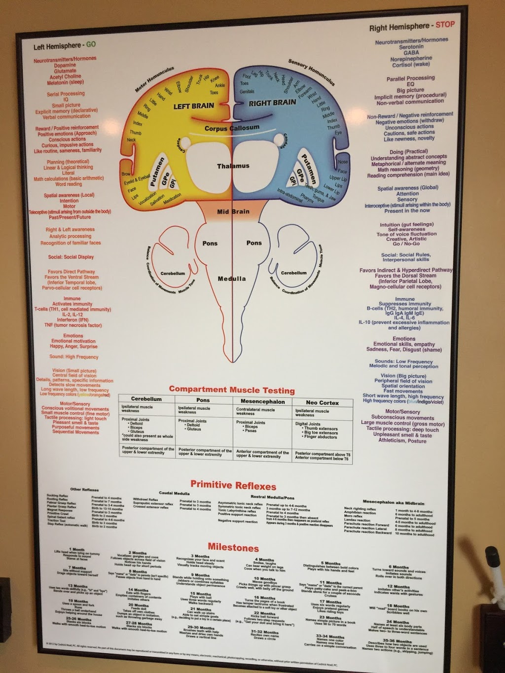 PRECISION Upper Cervical Care Center of NJ | 20 Franklin Turnpike #218, Waldwick, NJ 07463, USA | Phone: (201) 857-5050