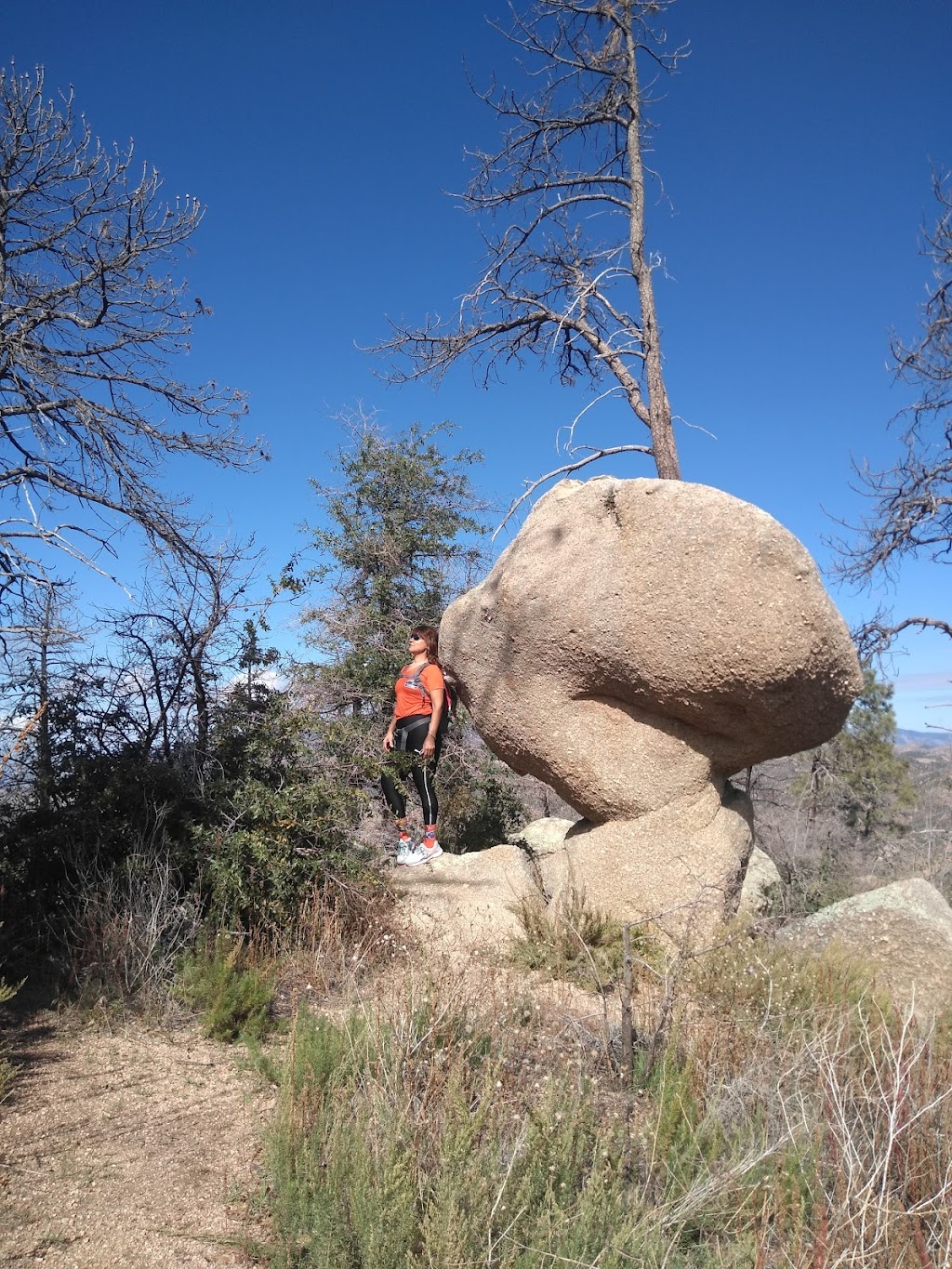 Lone Pine Trailhead | Pigeon Spring Rd, Tonto Basin, AZ 85553, USA | Phone: (480) 610-3300