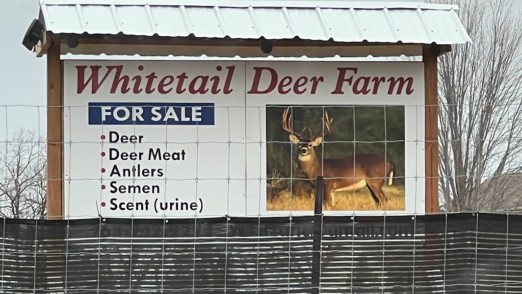 Deer Farm | 28060 Vassar St NE, Stacy, MN 55079, USA | Phone: (763) 242-9224