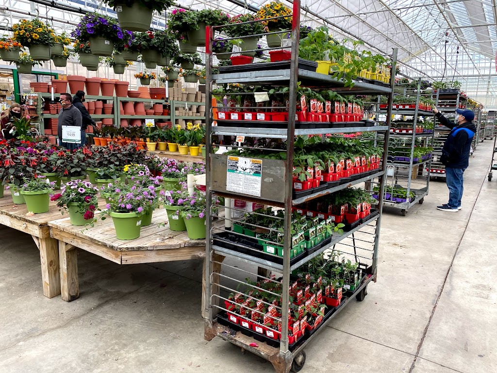 Petitti Garden Centers | 18941 Pearl Rd, Strongsville, OH 44136, USA | Phone: (440) 878-9409