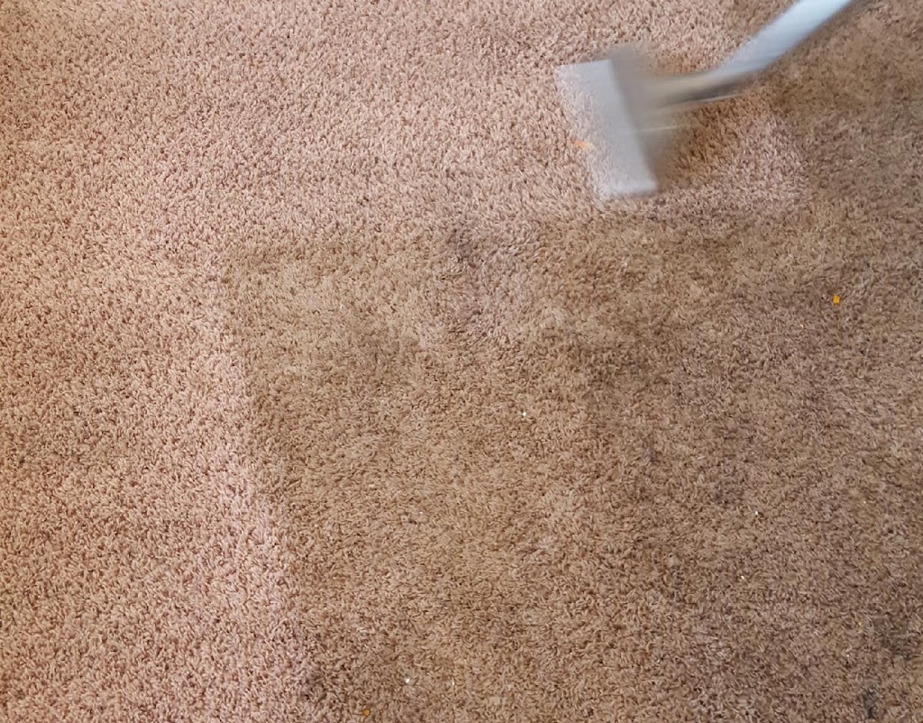 Apex Carpet Cleaning | 3616 W Thomas Rd #1, Phoenix, AZ 85019, USA | Phone: (602) 252-8383