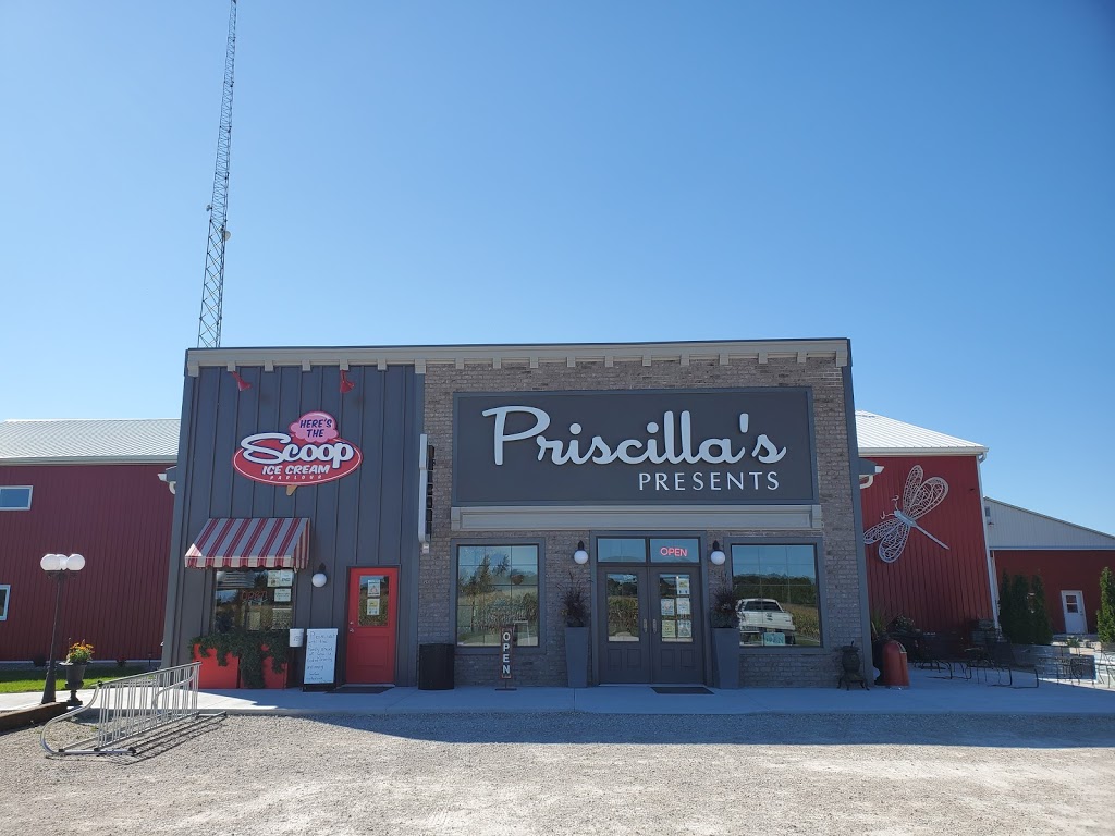 Priscillas Presents | 1195 Iler Rd, Harrow, ON N0R 1G0, Canada | Phone: (519) 738-0001