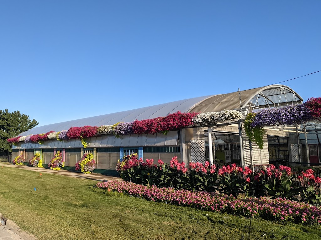 Hessells Greenhouse | 14497 23 Mile Rd, Shelby Township, MI 48315, USA | Phone: (586) 247-4675