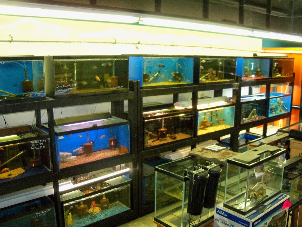 Midwest Tropical Fish llc | 214 S State St, Jerseyville, IL 62052, USA | Phone: (618) 946-7408