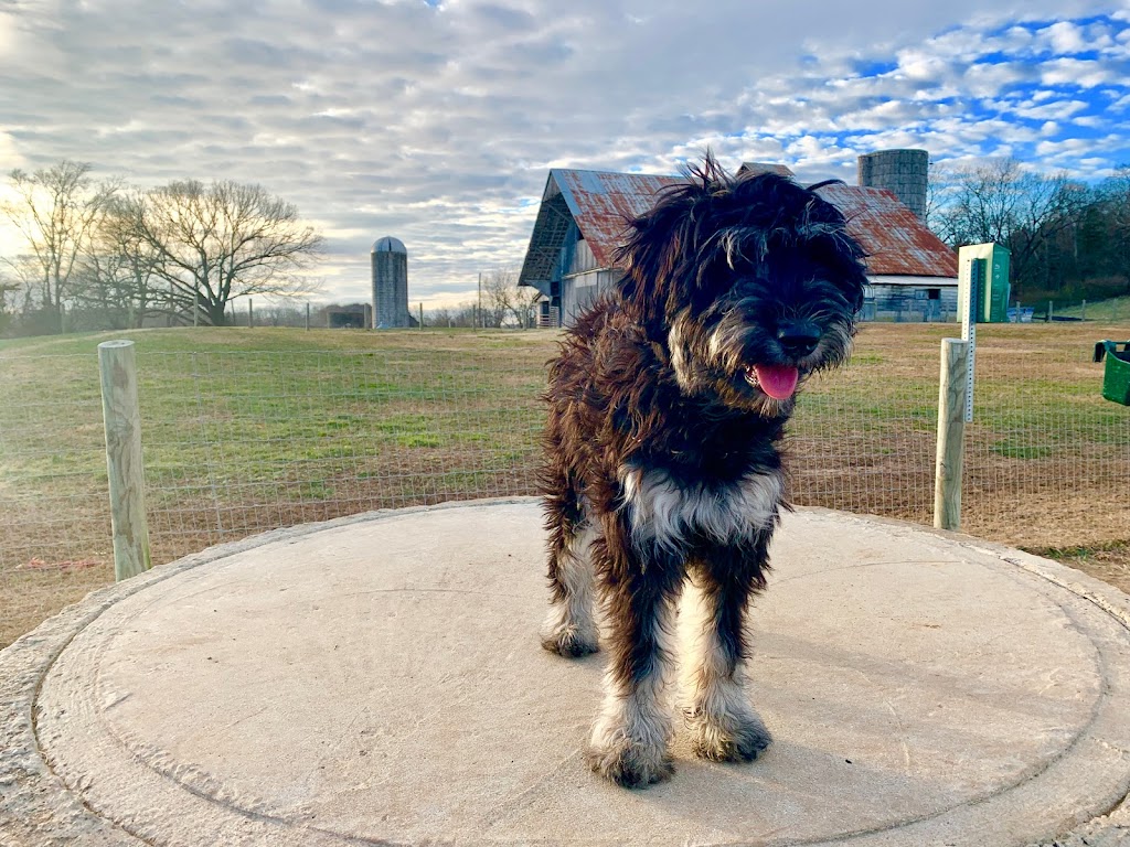 K-9 Korral Dog Park | 239 Franklin Rd, Franklin, TN 37064 | Phone: (615) 794-2103